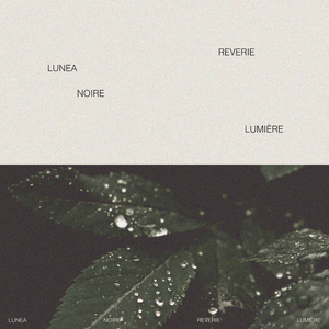 女人拉屎㊙️网站TXXXX
