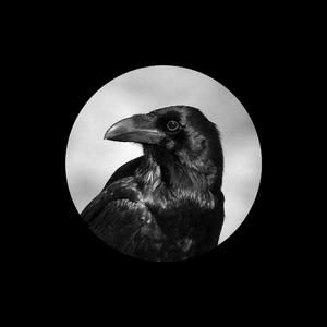 女人拉屎㊙️网站TXXXX
