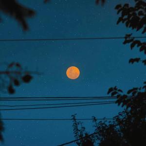 女人拉屎㊙️网站TXXXX
